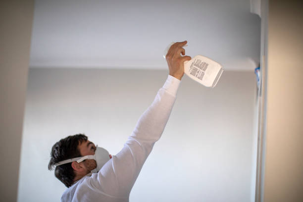 Best Basement Mold Remediation in Weston, FL