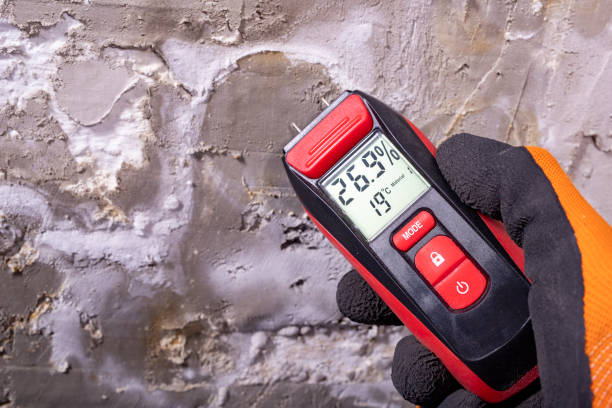 Trusted Weston, FL Mold Remediation Experts